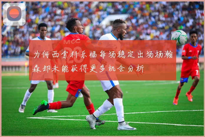 为何西索科乐福每场稳定出场杨瀚森却未能获得更多机会分析