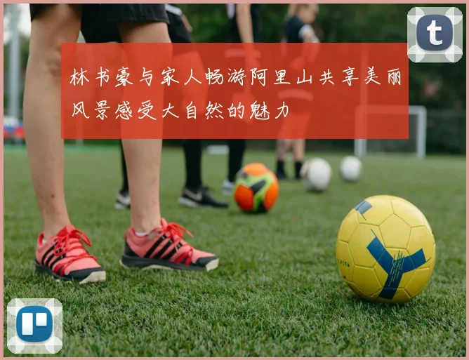 林书豪与家人畅游阿里山共享美丽风景感受大自然的魅力