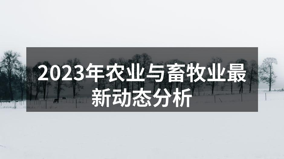 2023年农业与畜牧业最新动态分析